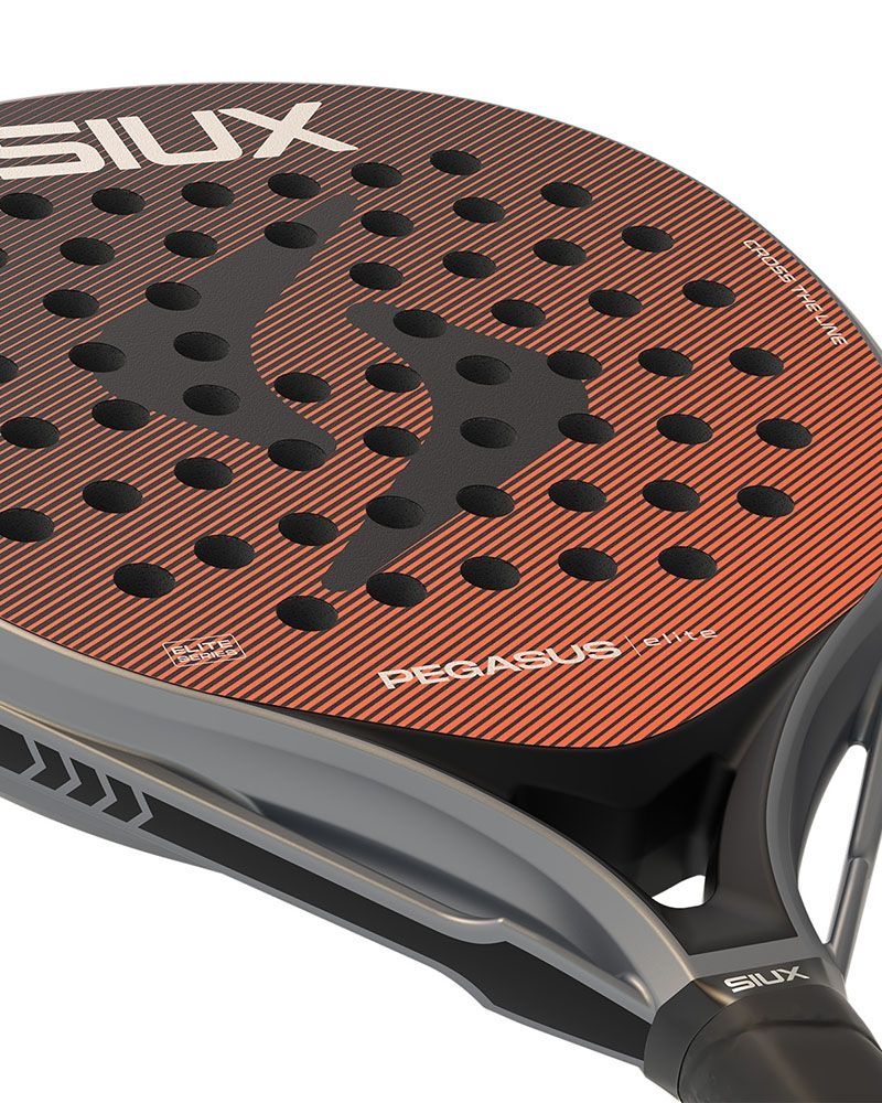Siux Pegasus Elite 2026