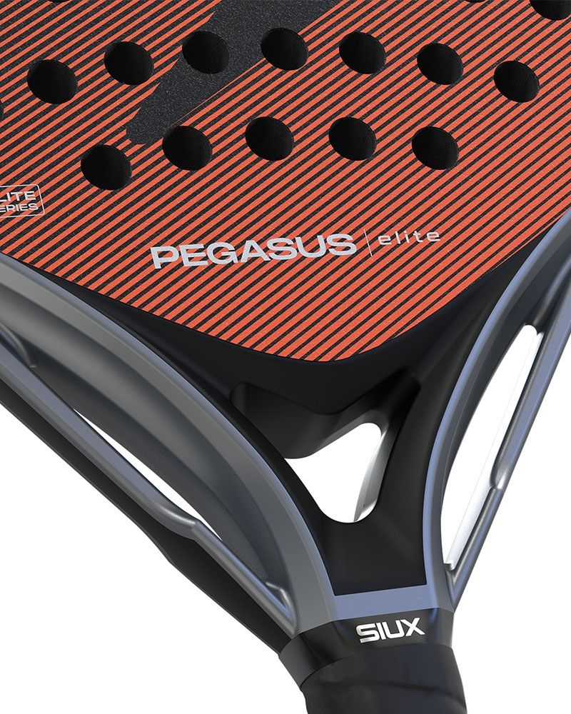 Siux Pegasus Elite 2026