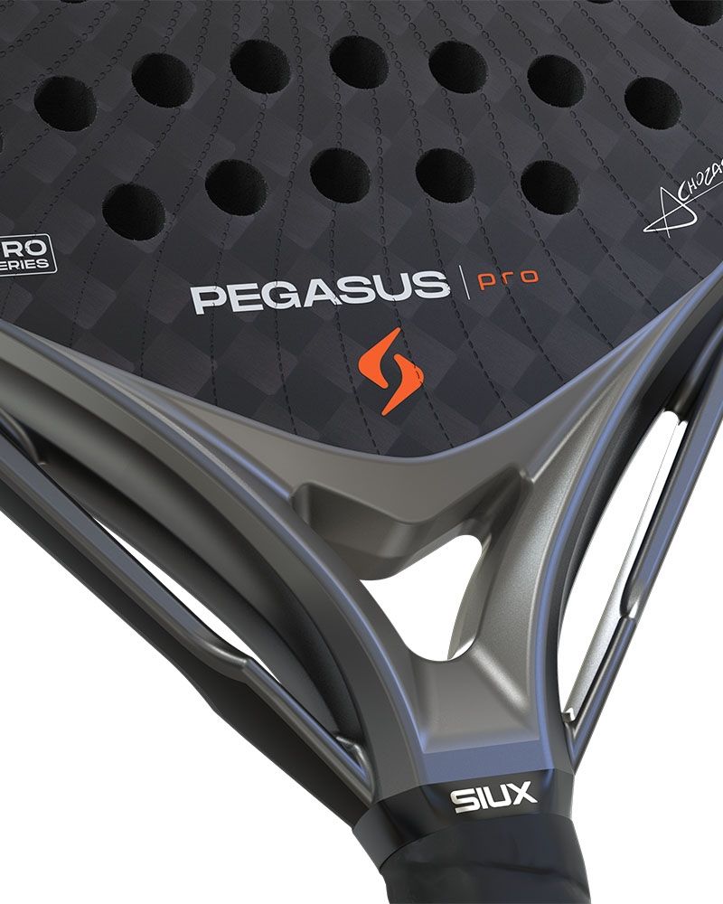 Siux Pegasus Pro 2026 Storm Grey