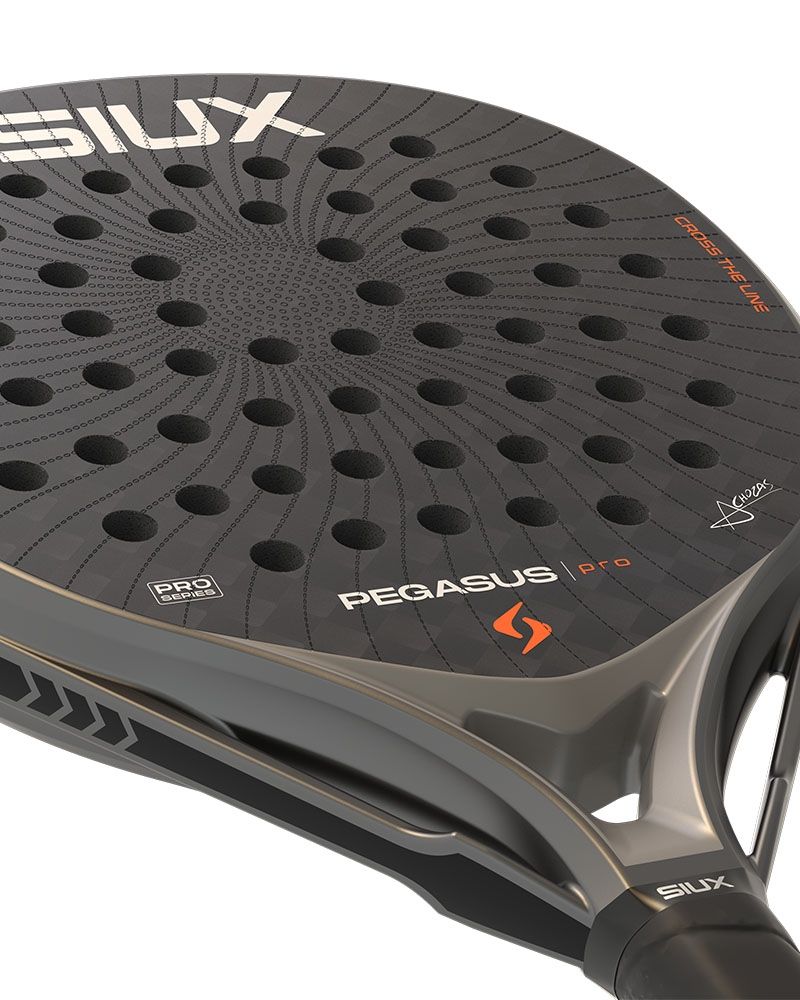 Siux Pegasus Pro 2026 Storm Grey