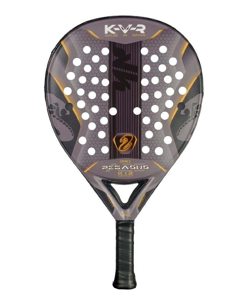 Akkeron Black Pegasus Pro – afbeelding 1